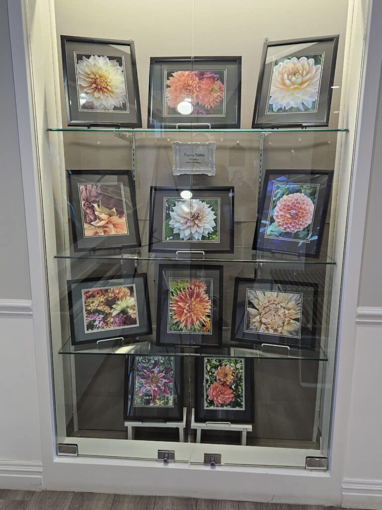 November 2024 Display